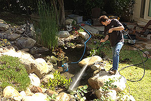 Aquatic Intensive Cleaning Service