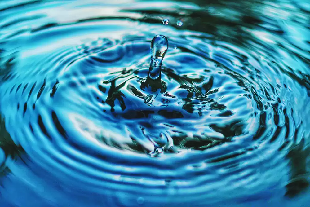 Water in a koi pond that has been filtered using a uv filter